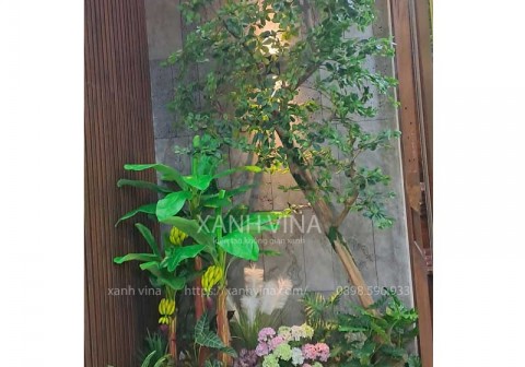 Tiểu cảnh cây giả tại Lê Trọng Tấn Hà Đông